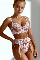 Blush Petal Lace Lingerie Set